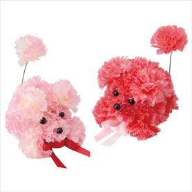 カーネーションプードル［ストエキオリジナル］