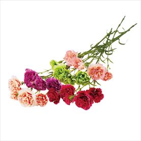 6本カーネーションスプレー52.5cm (造花) 