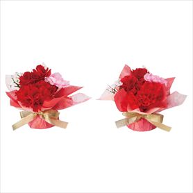 2個 母の日ラップ 高さ11cm