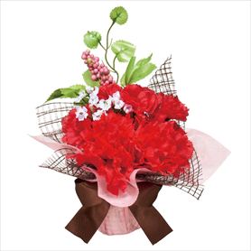カーネーションベリーミックスラップ 高さ15cm