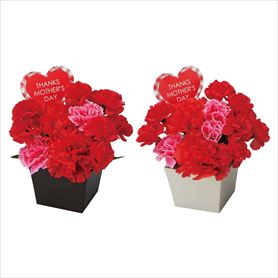 2個 スクエアカーネーションポット(造花)