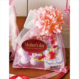 10本 カーネーションフルリール