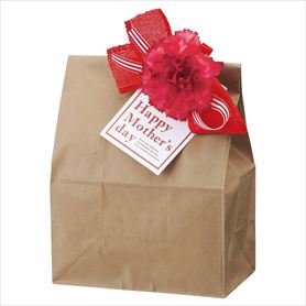 10個 フルリールクリップ 母の日 ハッピーマザーズデー