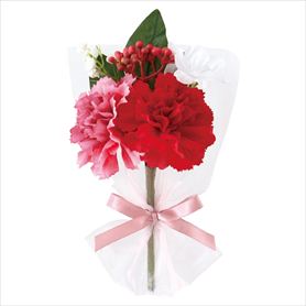 6個 母の日フルリールミニブーケ