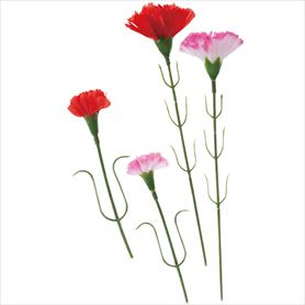 カーネーションピック