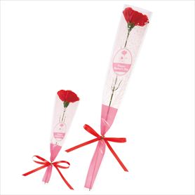 20本 カーネーションリボンラップ巻