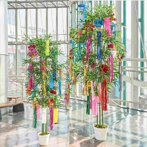 七夕笹バンブー高さ210cm　(人工観葉植物)〔ストエキオリジナル〕