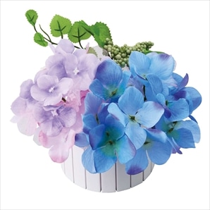 青あじさいアレンジ