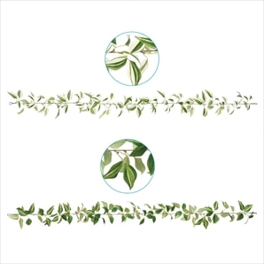 トラディスカンティア造花ガーランド