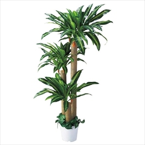 人工樹木【幸福の木】 180cm［ストエキオリジナル］