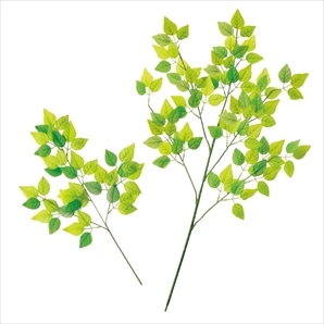 グリーンリーフ