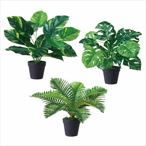 グリーンポット［ストエキオリジナル］