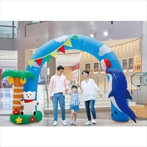エアブローアーチ サマースカイ 295cm