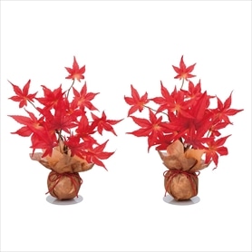 2個 紅葉ラップ(造花)