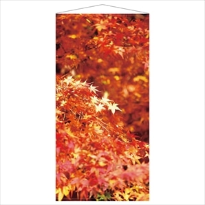 秋タペストリー 赤紅葉
