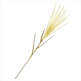 すすきピック48cm(造花)