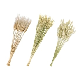 秋のドライフラワー［天然素材]