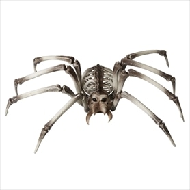 ジャイアントボーンスパイダー幅81cm