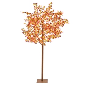 紅葉立ち木200cm