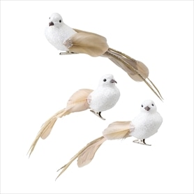 バードクリップ