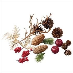 ミックスベリーパック