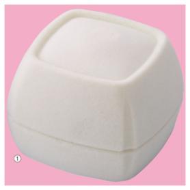 ジュエリーケース