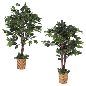 人工樹木 フェイクグリーン 人工観葉植物 ポトス/ベンジャミン〔ストエキオリジナル〕