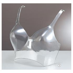 ブラジャーフォーム