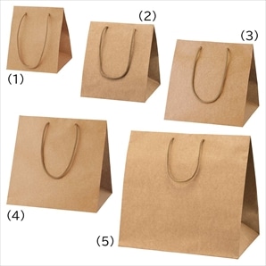 【10枚】アレンジバッグ 未晒