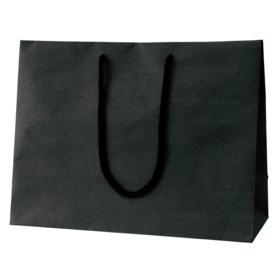 手提げ紙袋 無地ブラック〔ストエキオリジナル〕