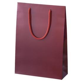 HEIKO 紙袋 ブライトバッグ エンジ