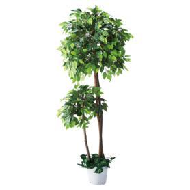 人工観葉植物ベンジャミンダブル〔ストエキオリジナル〕