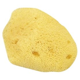 紙めくり 天然海綿(小) クラウン