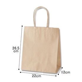 【25枚】HEIKO 紙袋 スムースバッグ 22-12 未晒無地