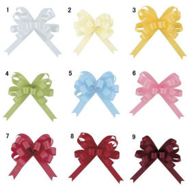 【50枚】22mm幅 青山リボン ループボウ カスタムサテン