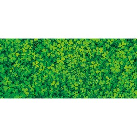 グリーンシート