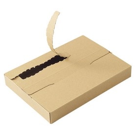 【10枚】ラクポスボックス メール便ケース