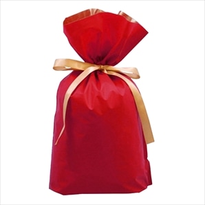 【20枚】梨地リボン付きギフトバッグ レッド