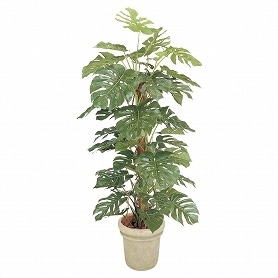 人工樹木 モンステラ フェイクグリーン 180cm 1台