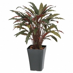 人工樹木 カラテア レッド フェイクグリーン 90cm 1台