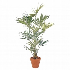 人工樹木 ニューケンチャヤシ フェイクグリーン 人工観葉植物 人工樹木 ニューケンチャヤシ 240cm 1台