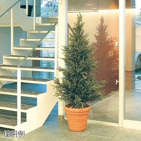 人工樹木 モミツリー フェイクグリーン 210cm 1台