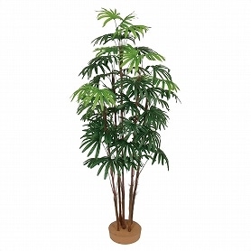 人工樹木 シュロチク 5本立 鉢無し 150cm1台