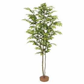 人工樹木 ケヤキ鉢無し フェイクグリーン 180cm 1台