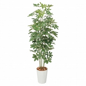 人工樹木 シェフレラ フェイクグリーン 170cm 1台