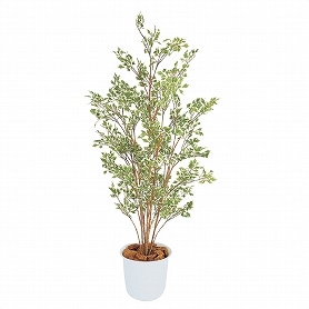 人工観葉植物 ベンジャミンハワイアン 150cm 1台