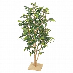 人工観葉植物 ベンジャミン板付ナターシャ 130cm1台
