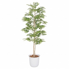 人工樹木 ゴールデンリーフ フェイクグリーン 150cm 1台