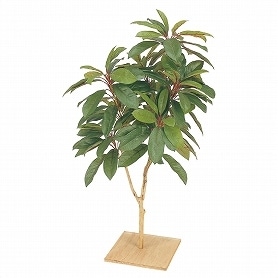 人工樹木 ユズリハ 板付き フェイクグリーン 90cm 1台