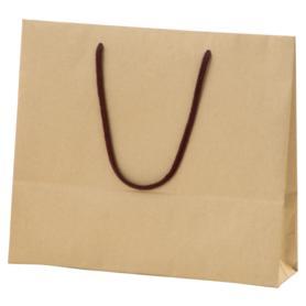 HEIKO カラーチャームバッグ カラー手提げ紙袋 クラフト